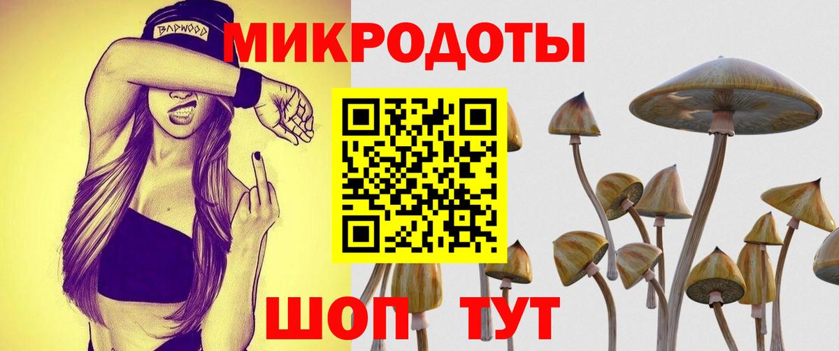 Галлюциногенные грибы мухоморы Ставрополь