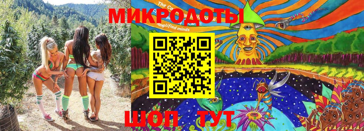 Ставрополь  Галлюциногенные грибы MAGIC MUSHROOMS  как найти наркотики  Вход с VPN 