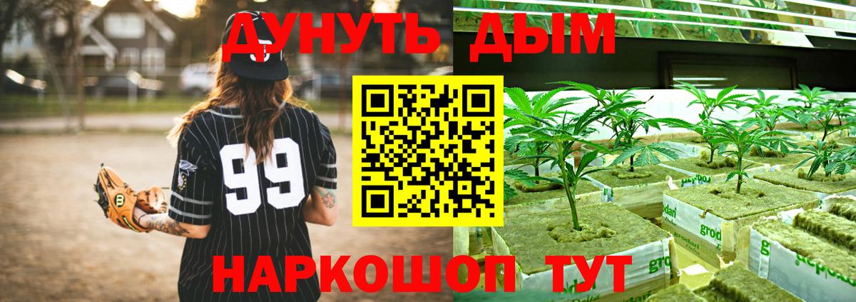Шишки марихуана план Ставрополь